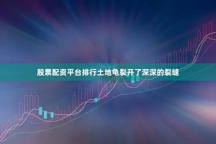 股票配资平台排行土地龟裂开了深深的裂缝
