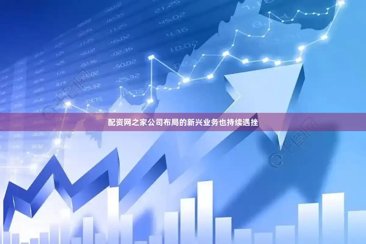 配资网之家公司布局的新兴业务也持续遇挫