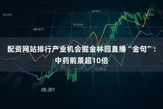 配资网站排行产业机会掘金林园直播“金句”：中药前景超10倍