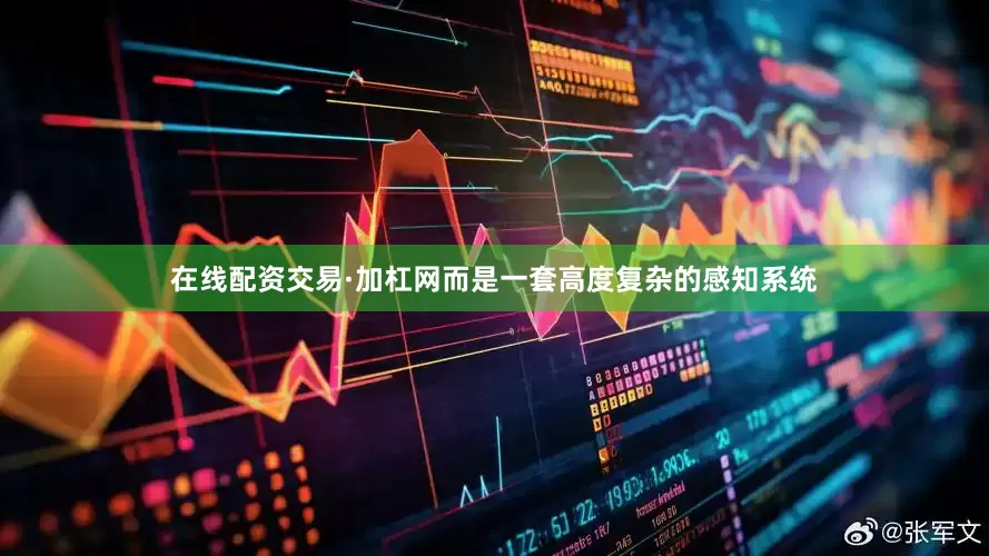 在线配资交易·加杠网而是一套高度复杂的感知系统